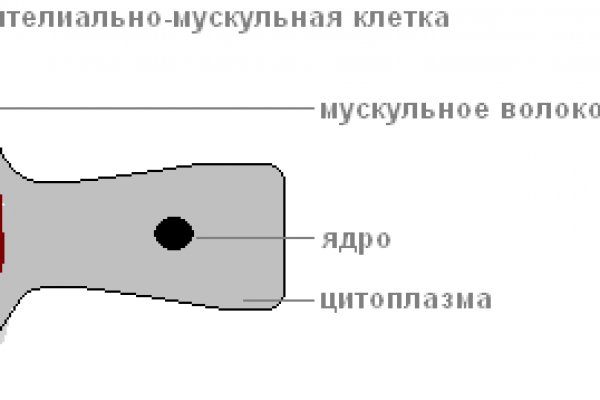 Кракен как попасть